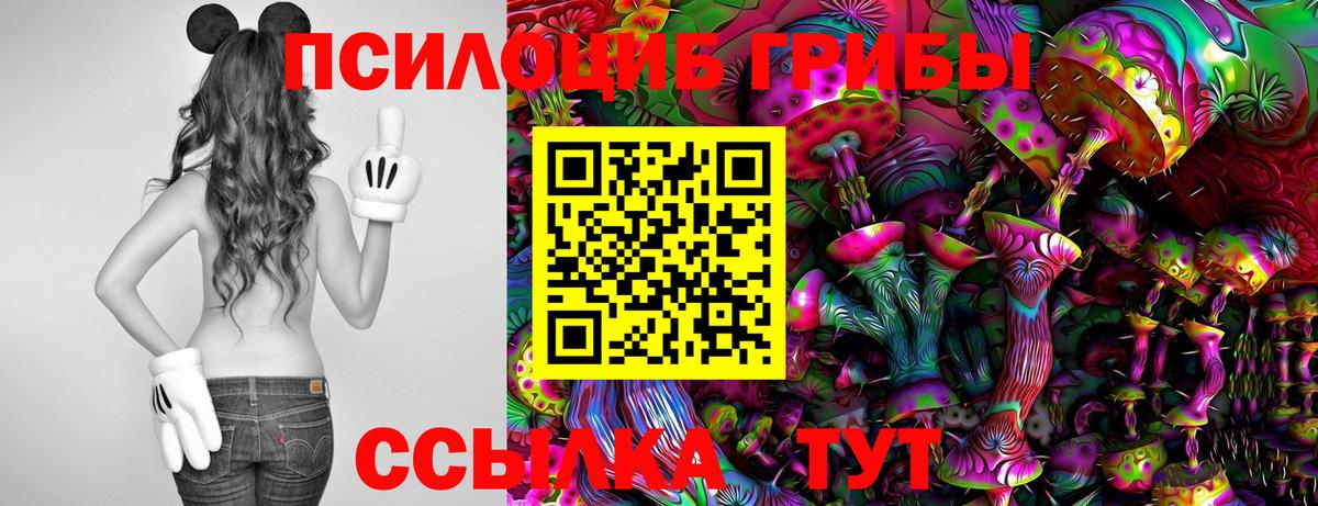 Галлюциногенные грибы Magic Shrooms  где найти   Чапаевск  Вход с VPN 